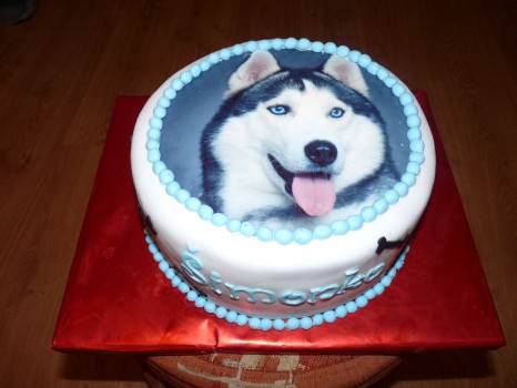 torta husky