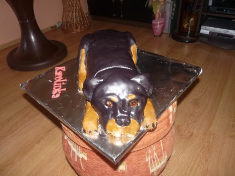 Torta pes rotvajler