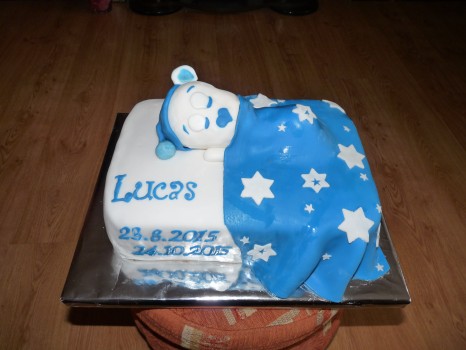 Torta na krst s mackom
