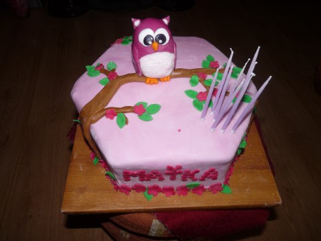 Torta so sovičkou