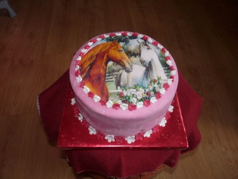 Torta koníky